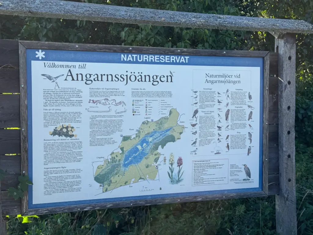 Akriviteter och evenemang bilder 03